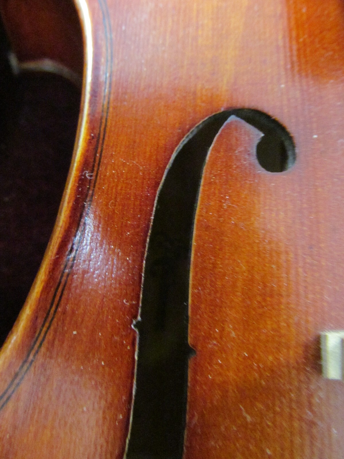 Picture 5 of 19