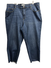 Ava  Viv Woman Jeans Plus sz 22W Blue Stretch High Waist EUC