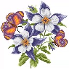 Bild 2 von 12