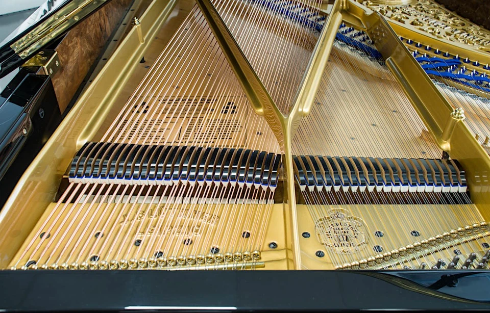 Blüthner Piano à Queue Avec Jubiläums-gussplatte, D'Occasion, 190 CM, Noir Poli - Photo 4/4