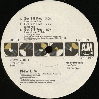 New Life, Got 2 B Free, (12'', Promo), NM or M-, 3889256953