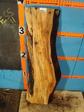 8843 1 15/16 " THICK black line spalted maple live edge slab lumber wood