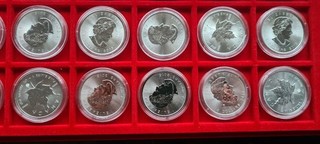 10x 1 Oz Silbermünzen 9999 – Canadian Marble – 2015 – Bullion – in Kapseln