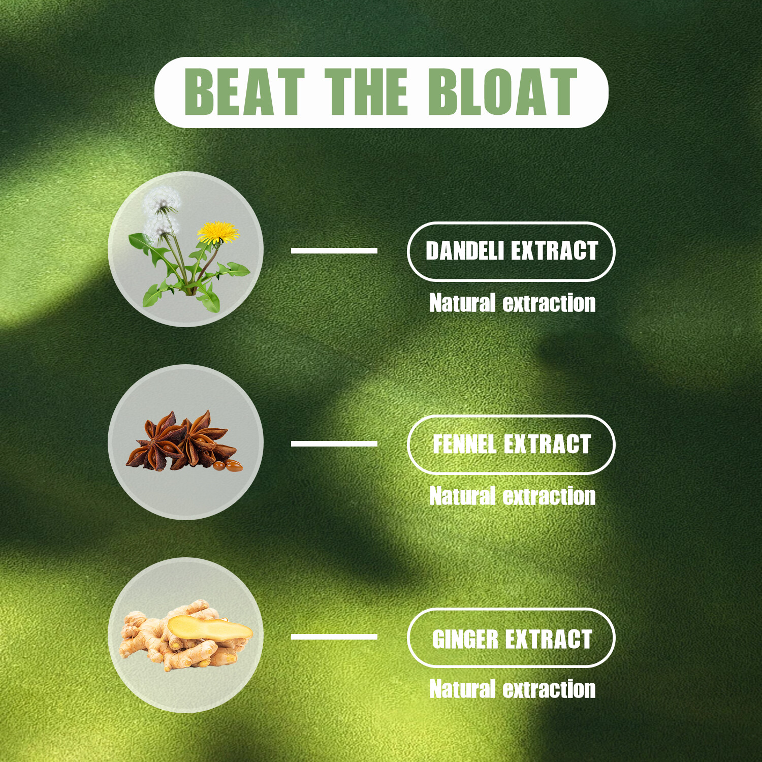 Beat The Bloat - Enzima digestivo, tarassaco, gas, sollievo dalla stitichezza, salute dell'intestino foto 5