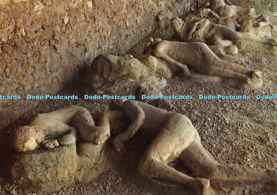 D078516 Pompeji. Guss von Flüchtlingen in einem Garten. C. A. R. Vincenzo Carcavallo