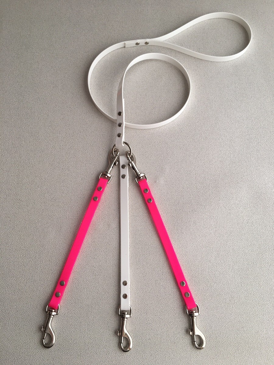 Biothane® Dog Lead- Small Dogs Walk 1,2 or Dogs Multi-purpose