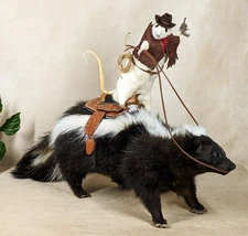 Cowboy Rat and Skunk Wild West Taxidermy Oddities Curiosities Display decor gift