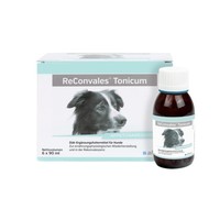 Reconvales Tonicum Hund 6 X 90 Ml Aufbaunahrung Alfavet Reconvaleszenz Appetit