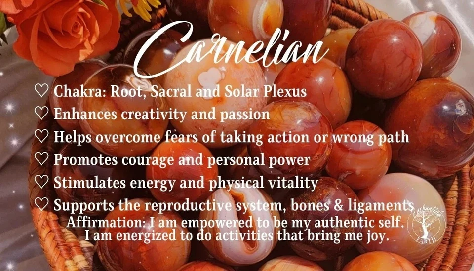 Gargantilla Cornalina 3 mm Pequeña Cuentas Curación Delicada Mujeres Boho Cristal Collar Regalo Foto 4 de 4