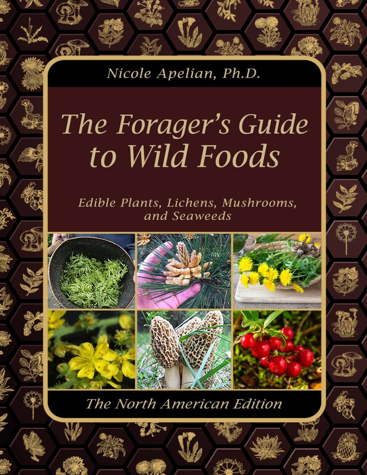 The Forager’s Guide to Wild Foods (paperback with color pictures)