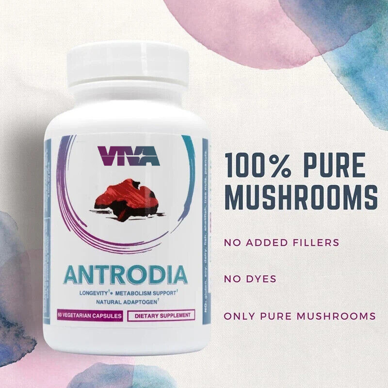 Niu Zhangzhi pure mushroom extract supplement capsules