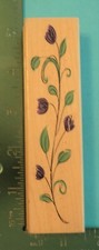Hero Arts CLIMBING VINE Rubber Stamp Ivy Flowers Garden H2948