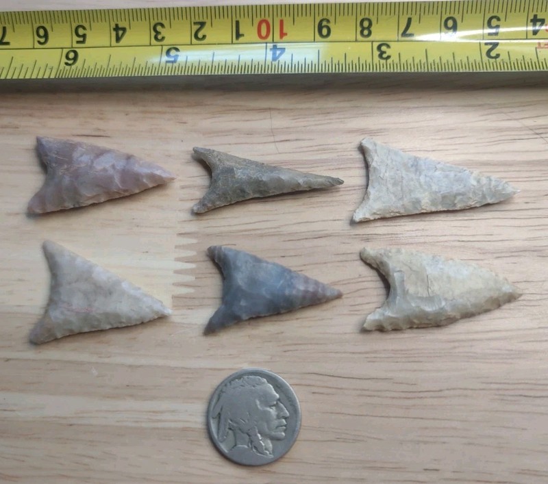 Neolithic Period  Arrowheads Sahara Desert Africa 6 Triangular 