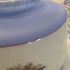 Vintage, Art Deco, frosted glass, painted, Dome shape, lamp/light shade floral — photo 3