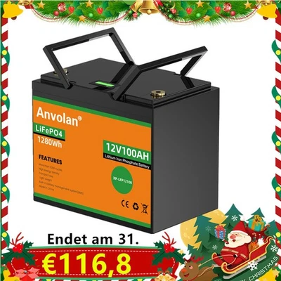 ANVOLAN Display LCD Batteria 100Ah 12V LiFePO4 Batteria Litio con BMS per Barca/Camper