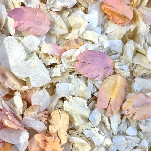Biodegradable Personalised White Confetti CONES + Dried Petal Wedding CONFETTI - Picture 18 of 21