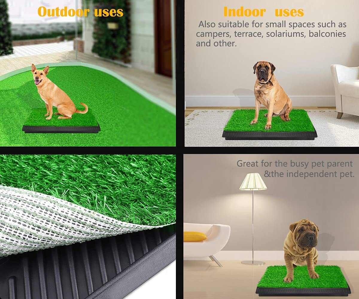 Fresh Patch For Dogs Real Grass With Tray Pet Green Potty Training