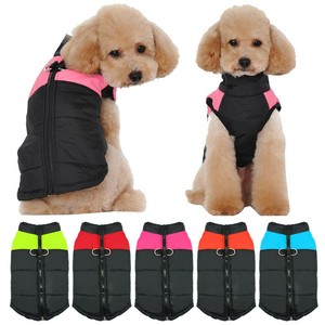 ebay small dog clothes