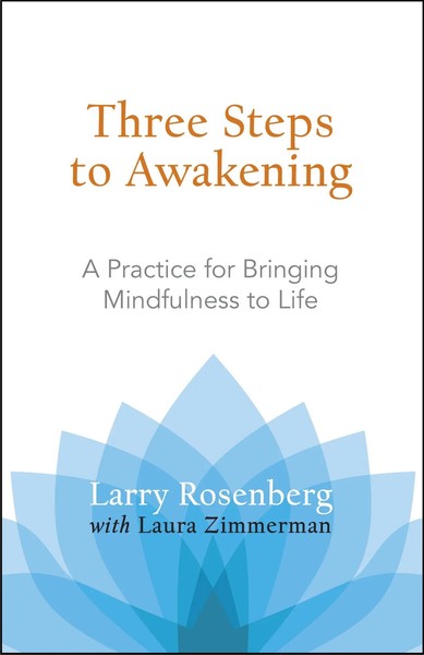 Three Steps To Awakening | A Practice For Bringing Mindfulness To Life | Buch-image