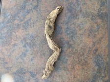 Natural Driftwood for Plants Terrarium Taxidermy Art Projects