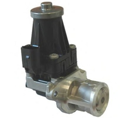MAGNETI MARELLI 571822112072 EGR Valve for ALFA ROMEO,CHRYSLER,CITROËN,FIAT,LANC