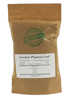 Großes Wegerichblatt / Plantago Major L # Herba Organica # Breitblattwegerich