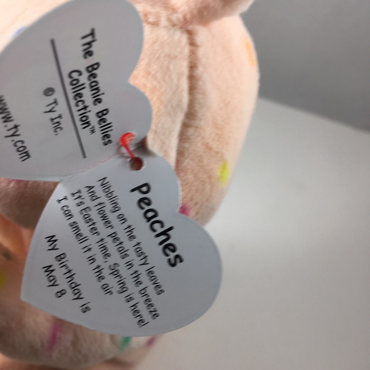 Ty Beanie Babies Coniglietto Pasquale Peluche - Bellies Pesche 6" - Foto 10