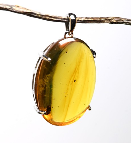 Pendant with Coleoptera (Beetle), Fossil Insect Inclusions in Burmese Amber - 第 3/6 張圖片
