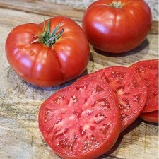Tomate Beefsteak énormes fruits rouges de 200 à 700 g. Sa chair est épaisse bio