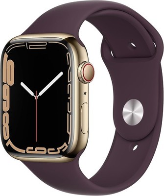 Apple Watch Series 7 45 mm Edelstahlgehäuse - Goldton mit Sportarmband -...