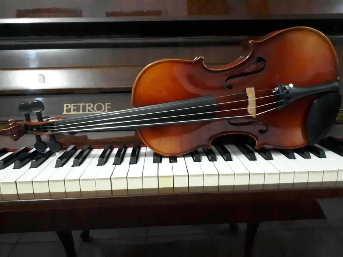 【希少】Antonius Stradivarius Cremonensis Antonius Stradivarius Cremonensis 4/4 Old Rare Violin Fullsize