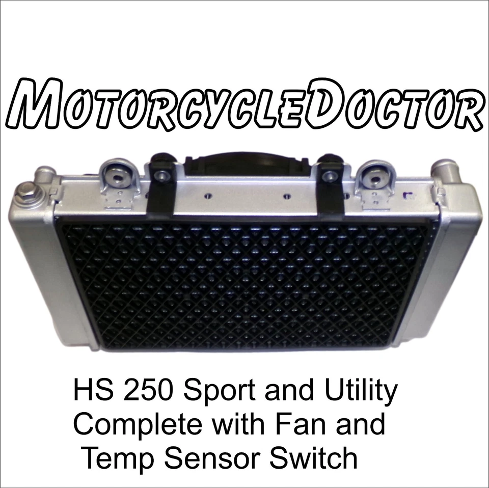 Radiador, ventilador, agua, enfriador, HS 250, UTV, HiSun, Massimo, banco, sector, huelga, artillero Foto 4 de 4