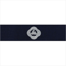 GENUINE U.S. COAST GUARD AUXILIARY BADGE: PERSONAL WATERCRAFT OPERATIONS - RIPST