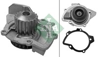 Schaeffler INA 538 0102 10 Wasserpumpe FüR CitroËN DS Passend FüR Fiat Ford