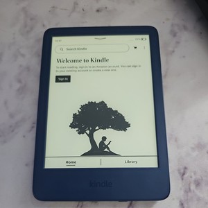 C2v2l3 Kindle | eBay UK