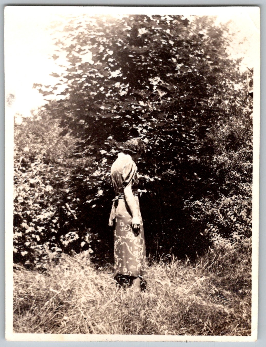 Picture 1