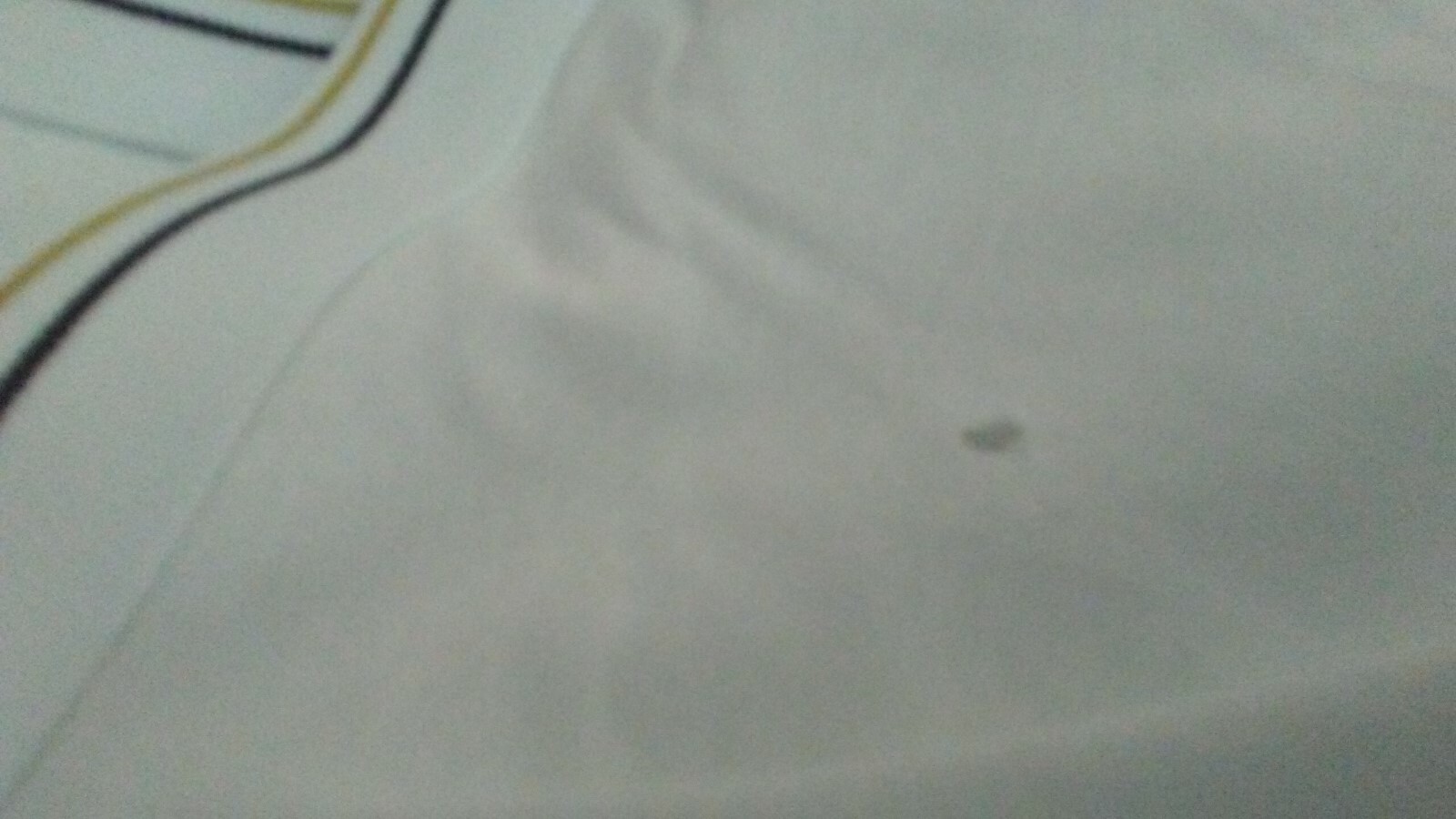 Picture 10 of 10