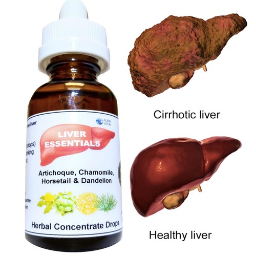 LIVER DETOX CLEANSE HERB DROPS Organic Artichoke Horsetail Dandelion By