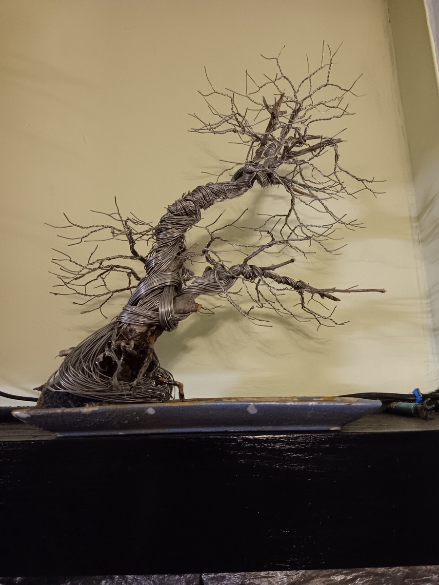 Juniper Deadwood And Wire Bonsai Tree Sculpture | eBay