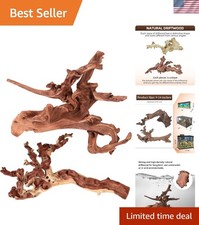 Natural Coral Driftwood Set - Unique 9-14" Aquarium  Reptile Decor 2 Pcs 