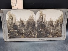Vintage 1898 Stereoscope Viewer Slide A Chance Of A Lifetime