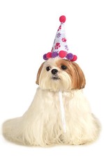 Brand New Girl's Birthday Hat Pet Dog Costume