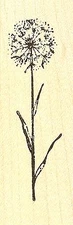 Small Seeded Flower Stem, Wood Mounted Rubber Stamp NORTHWOODS - NEW, D8515
