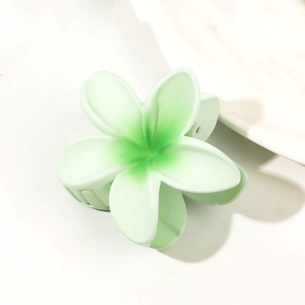 Transparent Color Frangipani Hair Clips Gradient Disk Hair Shark Clip