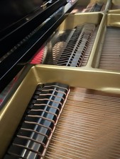 Exquisite 1981 Yamaha C5 Grand Piano 6'7" Polished Ebony (Serviced Annually)