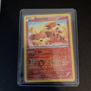 Growlithe Holo | eBay Growlithe Holo | eBay