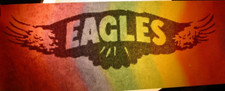 EAGLES VINTAGE 1970's ROCK  ROLL MUSIC IRON ON TRANSFER B-10 -NICE 