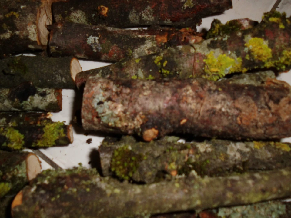 Holz,Apfelbaum,Aststücke,Bastelholz, Natur, Floristik, Basteln 800g Packung - Bild 3 von 4