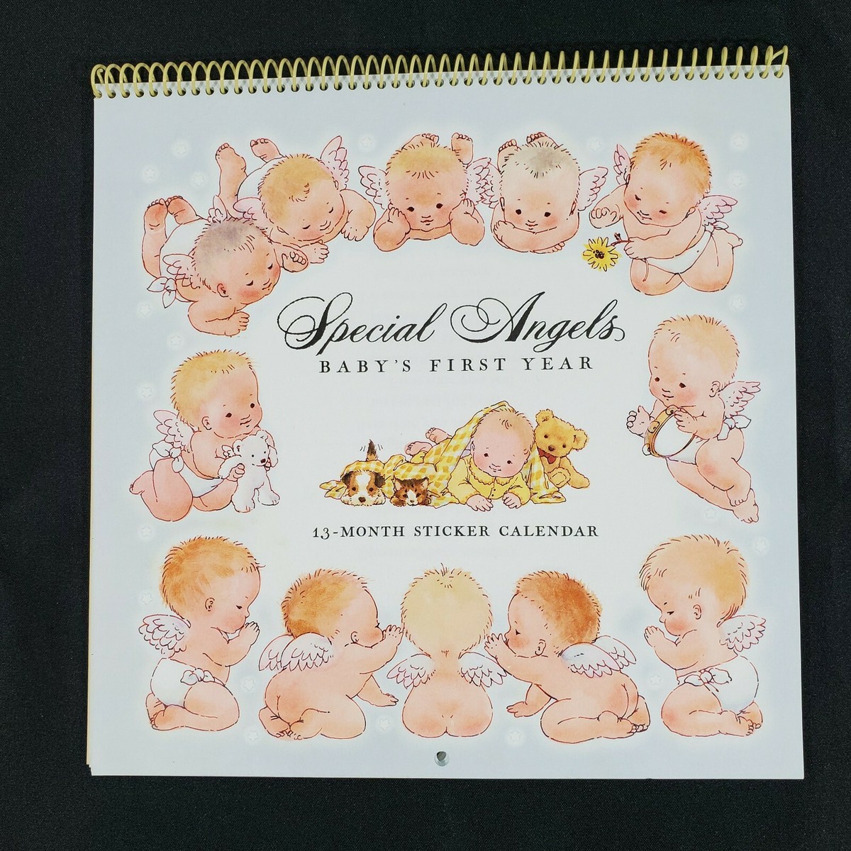 Baby Shower Gift Baby's First Year Calendar With 80 Milestone Stickers ...