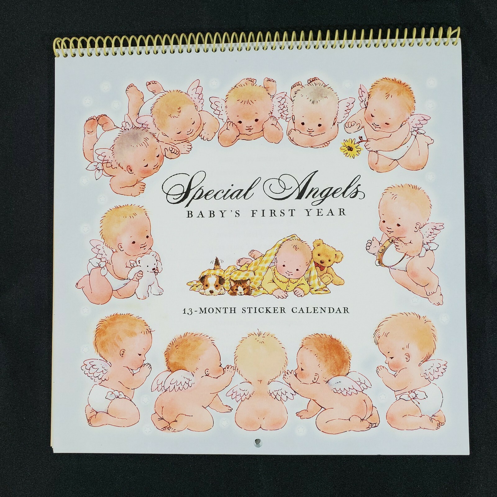Hallmark Baby First Year Calendar Vintage Milestone Stickers NOS New  9.5x9.5 | eBay